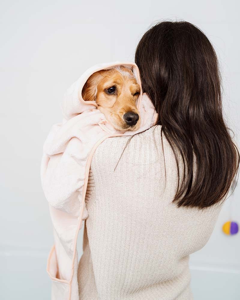 lovely-woman-taking-care-of-her-dog-at-home-in-the-WPPW7W4.jpg lovely-woman-taking-care-of-her-dog-at-home-in-the-WPPW7W4.jpg