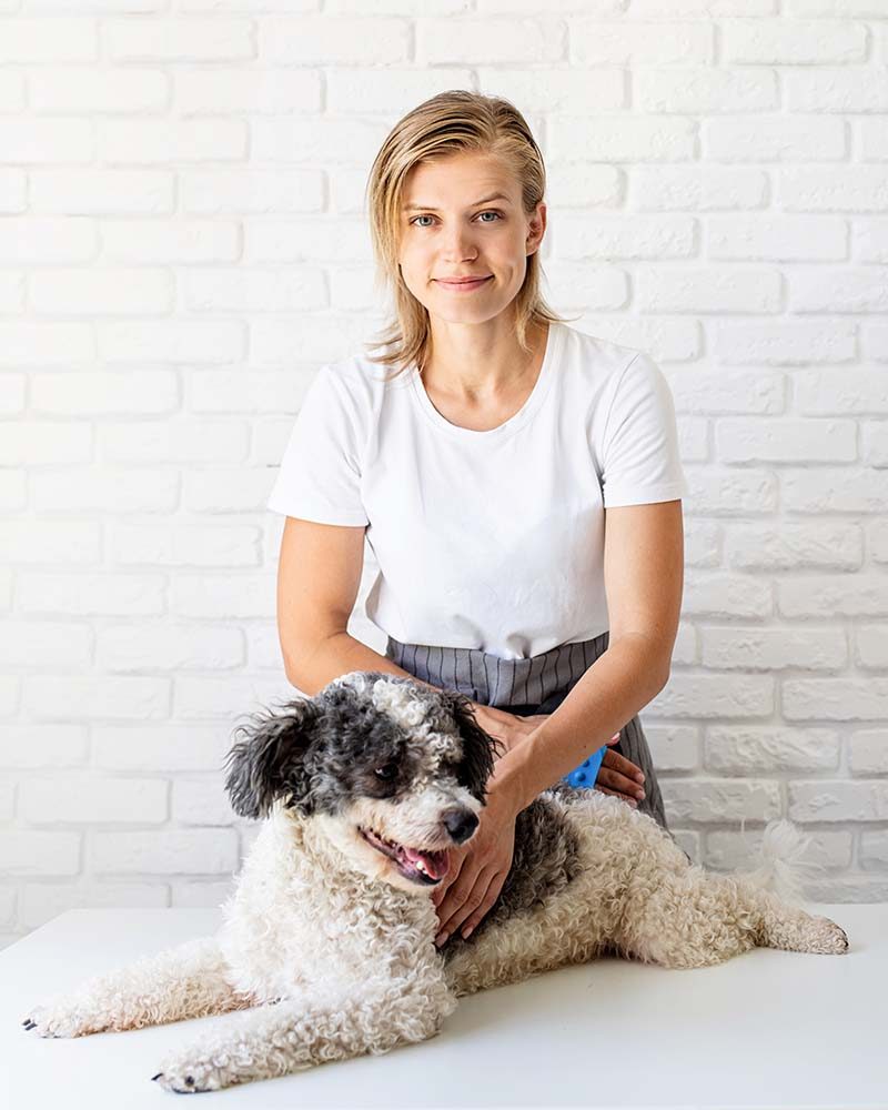 pet-care-concept-young-blond-woman-groomer-groomi-YDSE72C.jpg pet-care-concept-young-blond-woman-groomer-groomi-YDSE72C.jpg