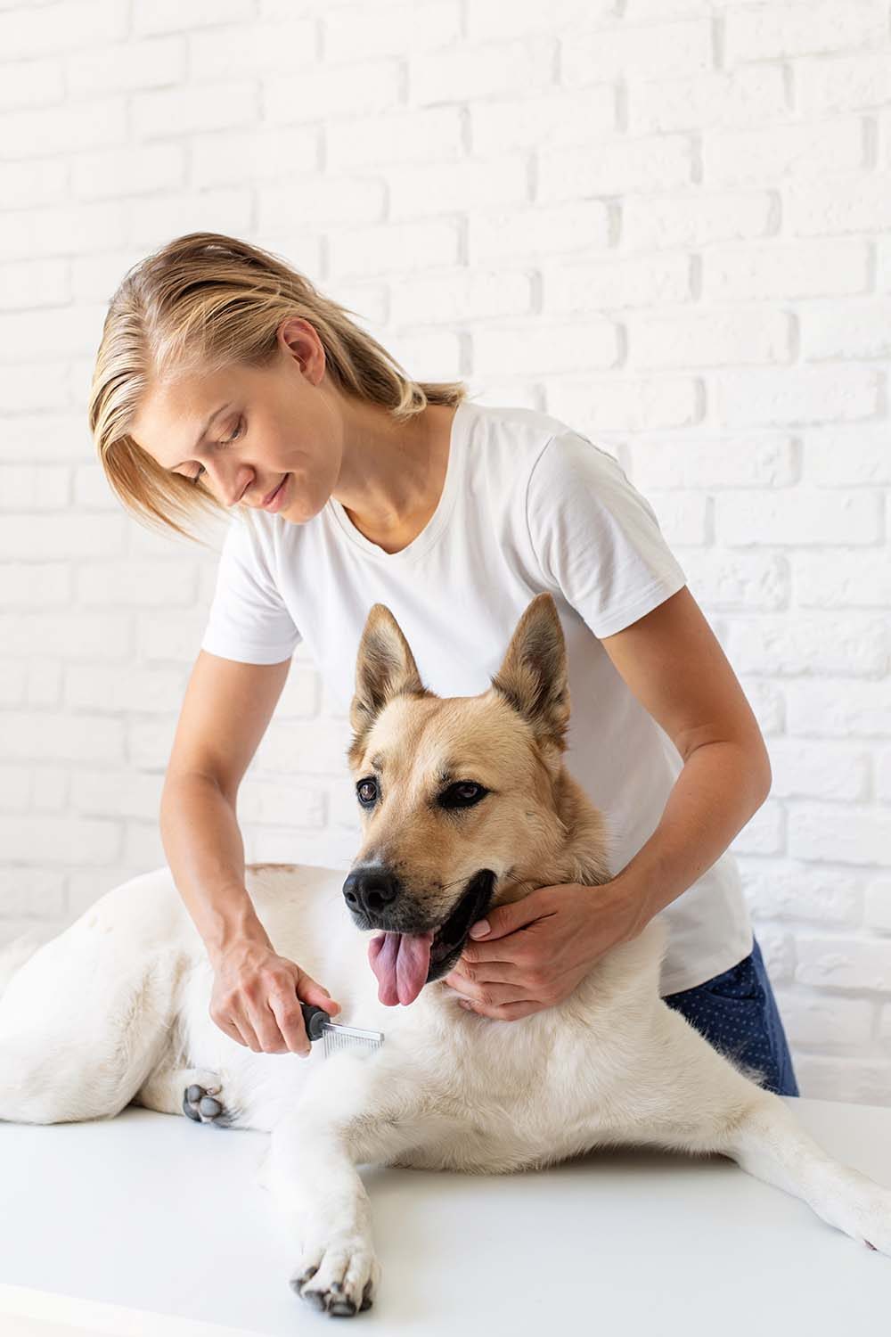 pet-care-concept-young-blond-woman-grooming-her-m-U6GGDWD.jpg pet-care-concept-young-blond-woman-grooming-her-m-U6GGDWD.jpg