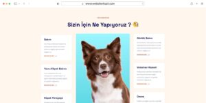Veteriner Kliniği - Görsel 4